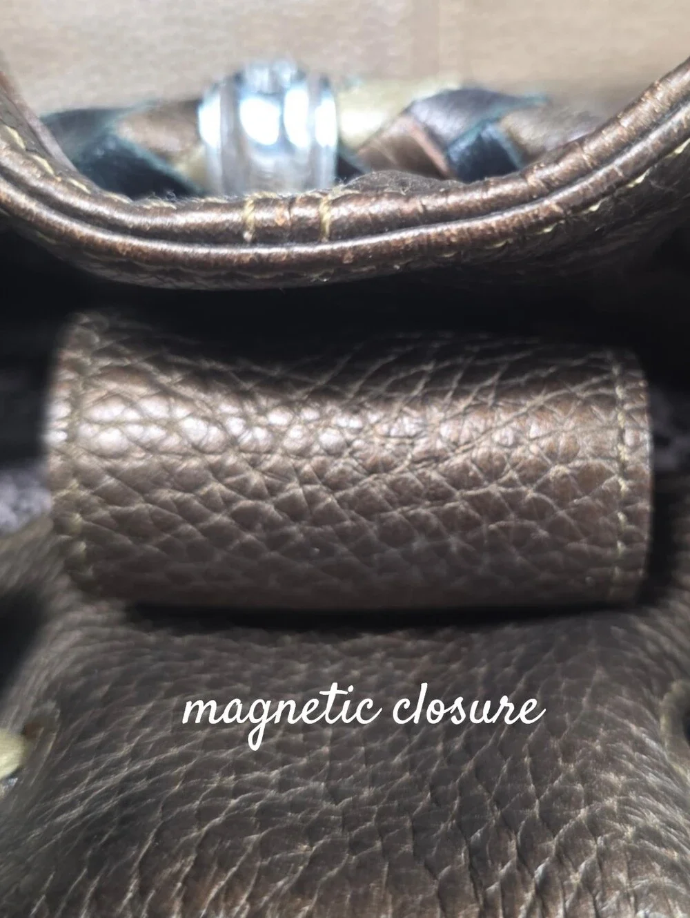 Brrighton Bronze Metallic Hobo Bag